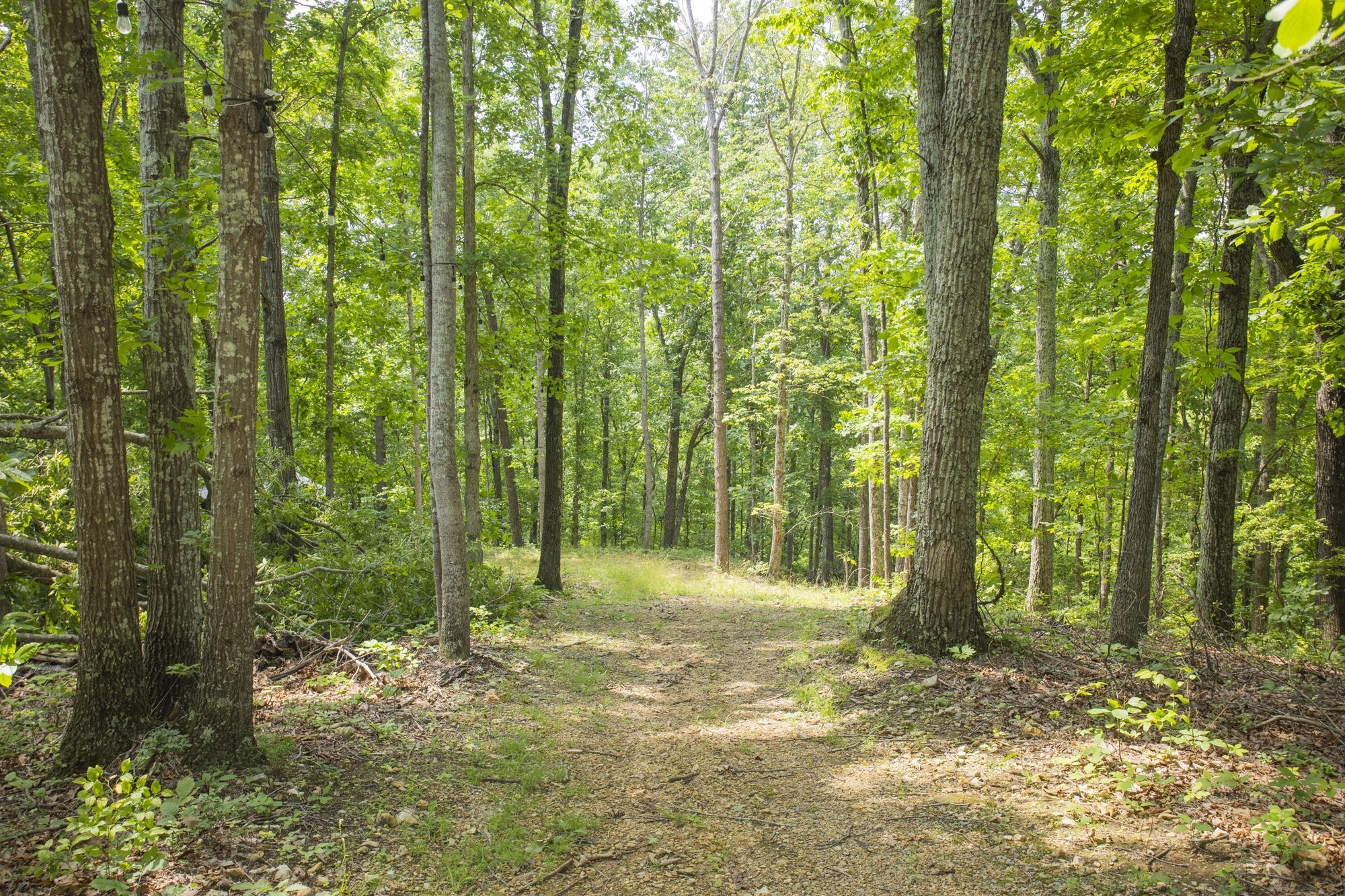 5590 Higdon Road Joelton, TN 37080 - Photo 6 of 40 a backyard of a house with lots of green space
