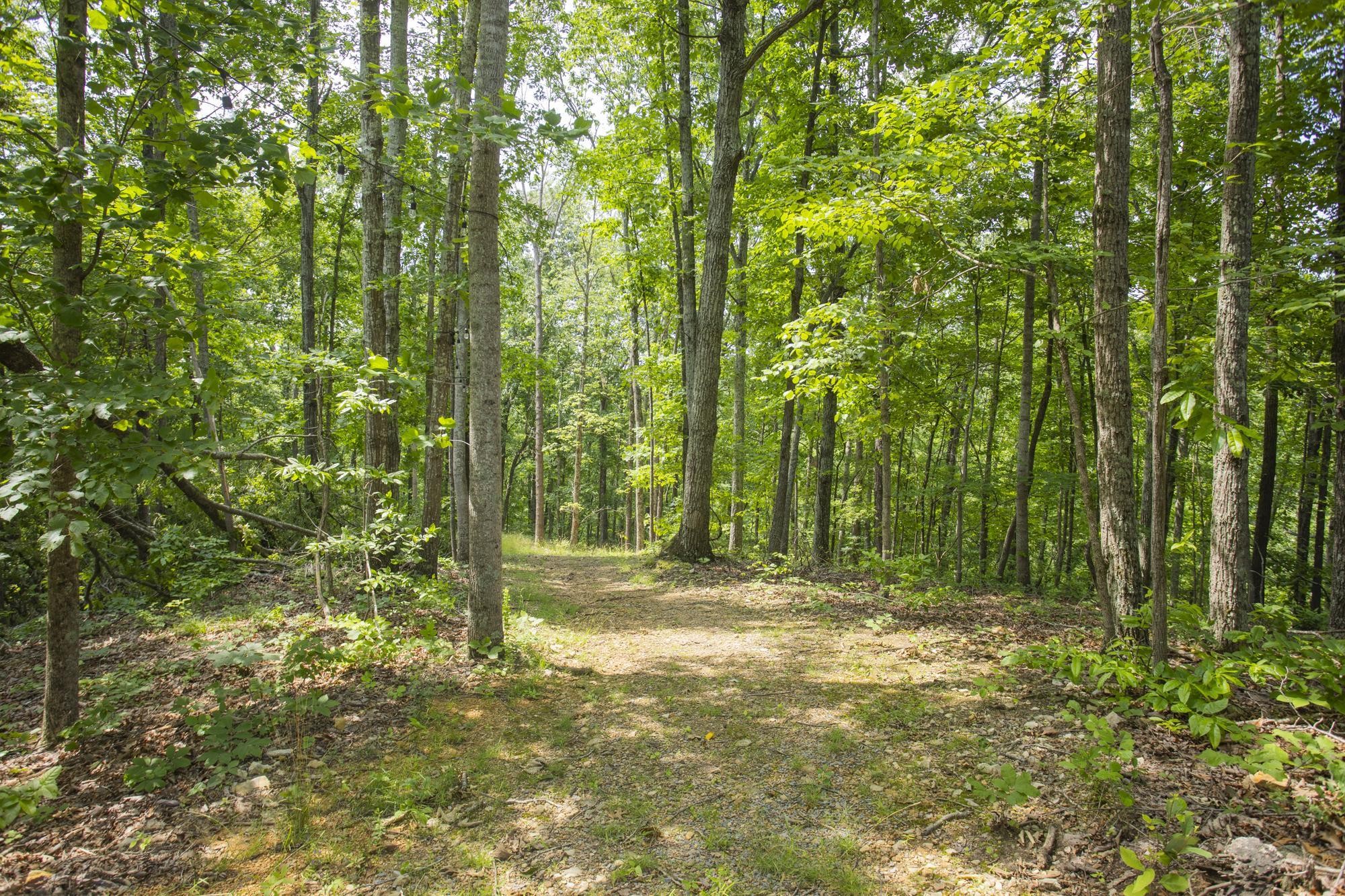 5590 Higdon Road Joelton, TN 37080 - Photo 10 of 40 a view of outdoor space and trees