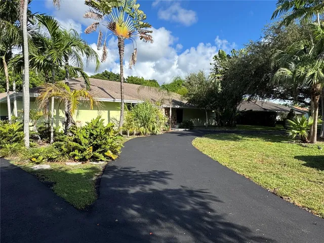 a view of a yard with plants
