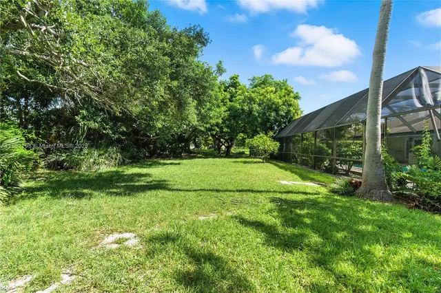 a view of a yard with a tree
