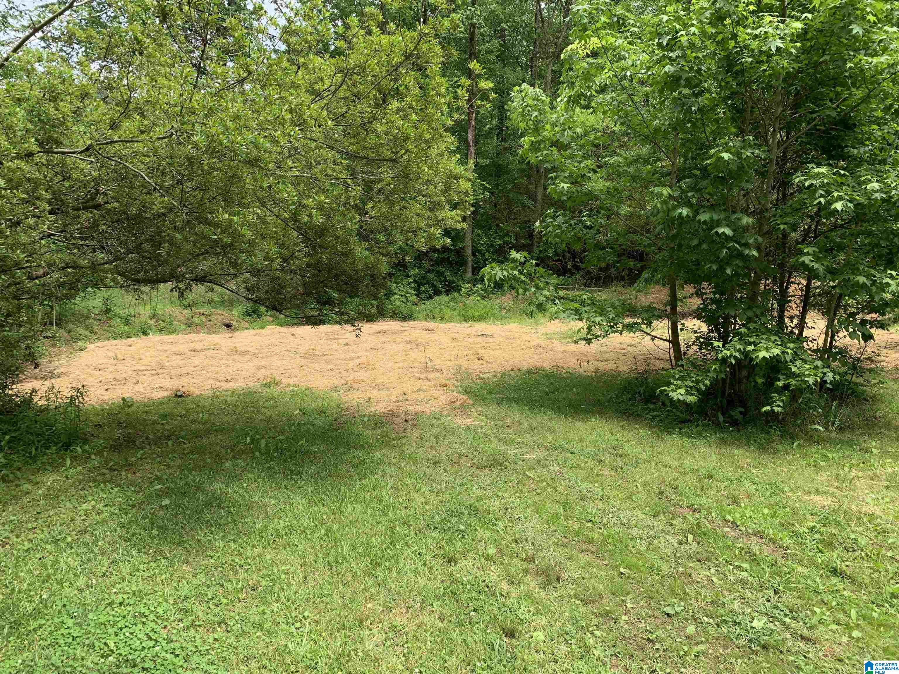 5760 Miles Spring Road Pinson, AL 35126 - Photo 13 of 30 Gallery Image 13