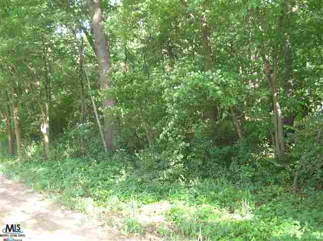 D2 Sutton Road Dryden, MI 48428 - Photo 8 of 9 31089847-7.JPG