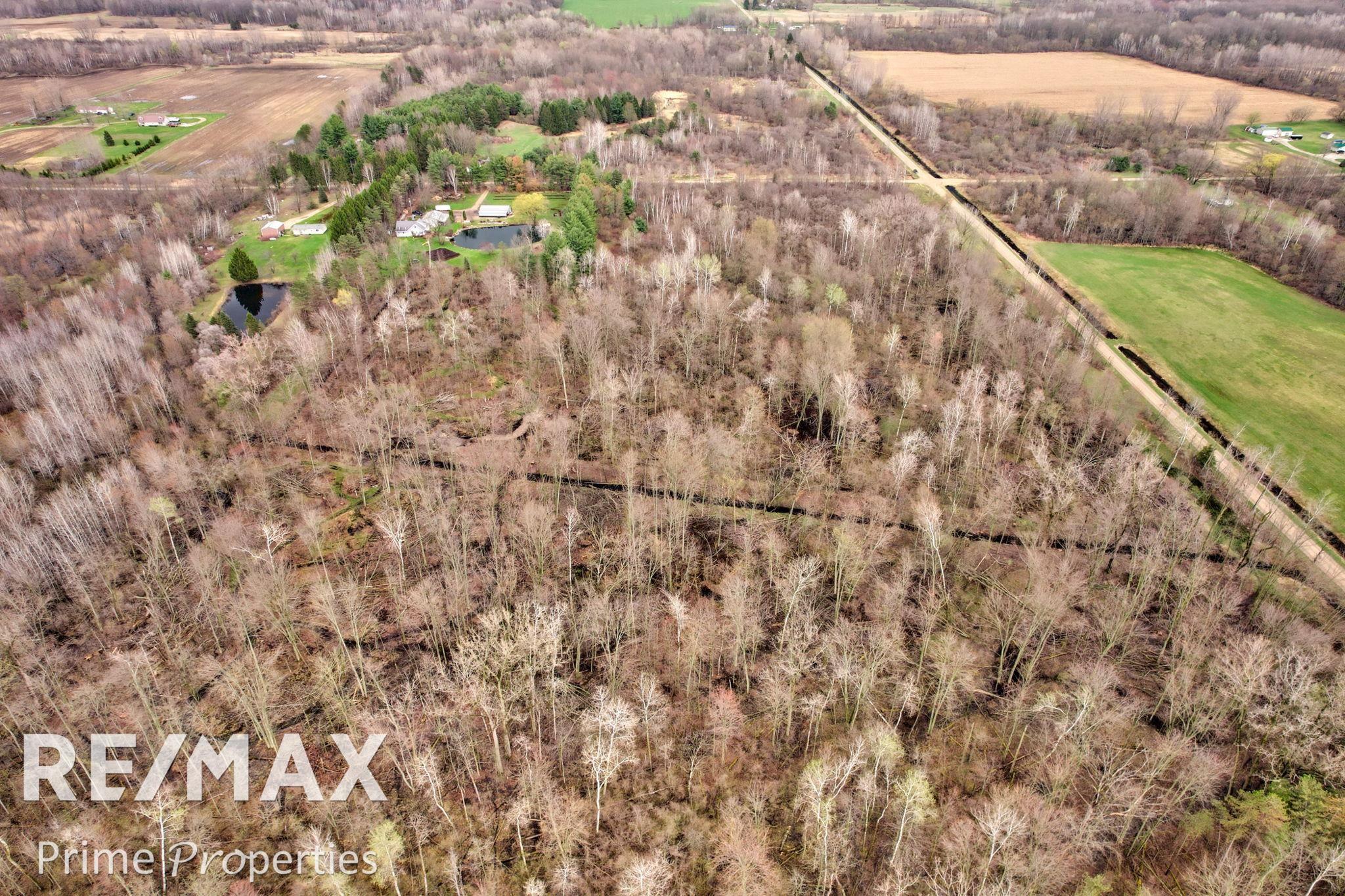 0 South Plain Road Caro, MI 48723 - Photo 11 of 19