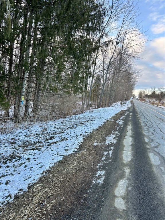 323 County Road 19 Preston, NY 13815 - Photo 12 of 16 Plenty of road frontage on County Road 19
