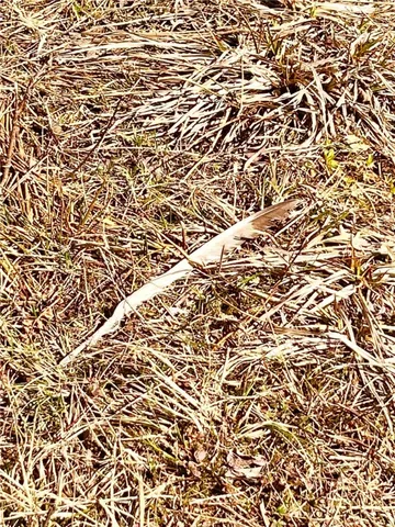 $295,000 | 323 County Road 19, Preston, NY 13815