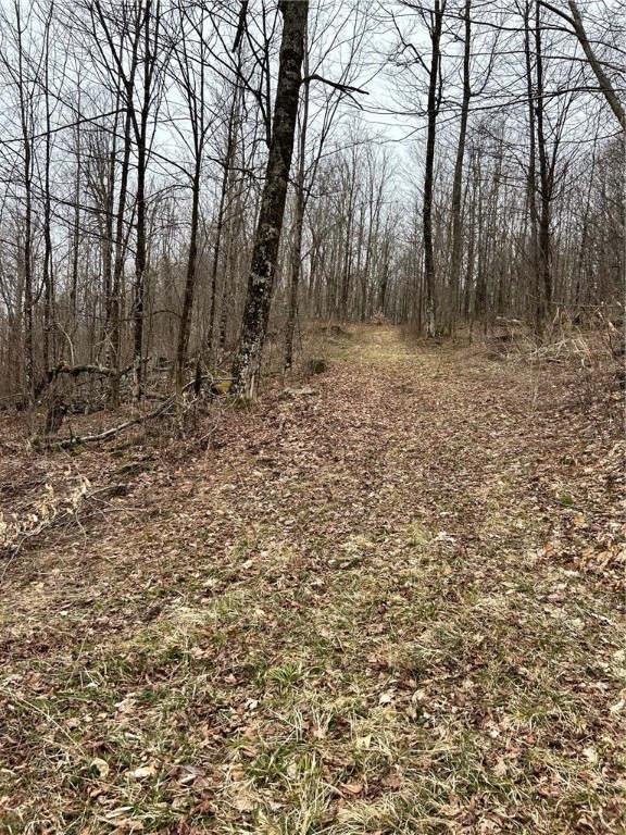 323 County Road 19 Preston, NY 13815 - Photo 16 of 16