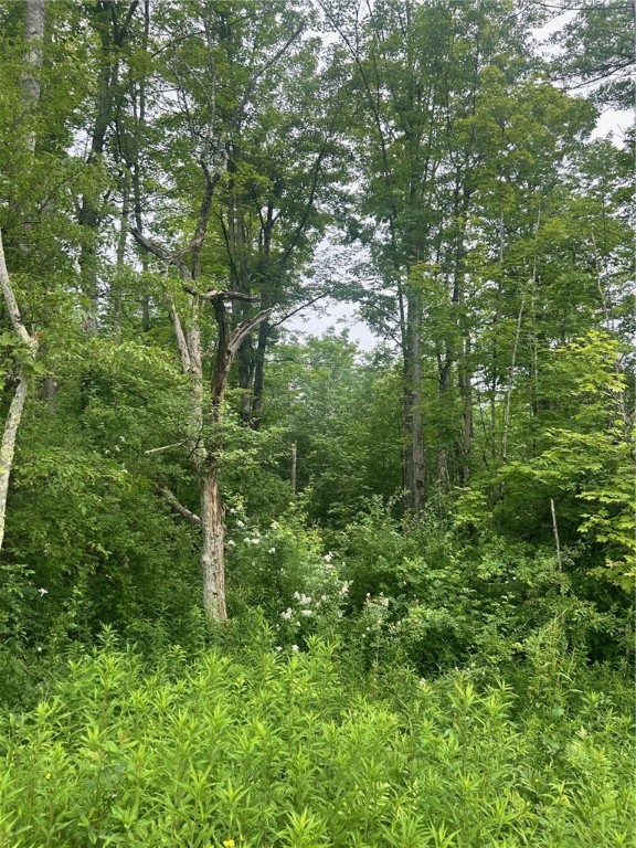 323 County Road 19 Preston, NY 13815 - Photo 3 of 16