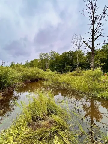 $295,000 | 323 County Road 19, Preston, NY 13815