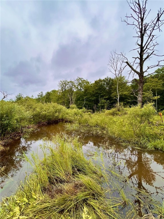 323 County Road 19 Preston, NY 13815 - Photo 5 of 16