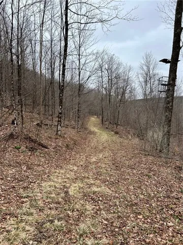 $295,000 | 323 County Road 19, Preston, NY 13815