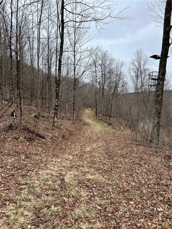 323 County Road 19 Preston, NY 13815 - Photo 6 of 16