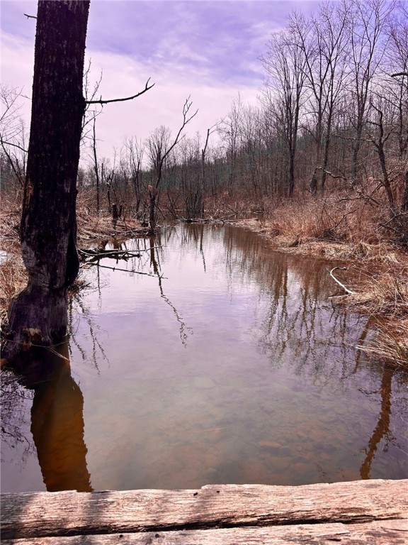 323 County Road 19 Preston, NY 13815 - Photo 7 of 16 Branches of Fly Meadow Creek cross thru forming be