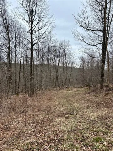 $295,000 | 323 County Road 19, Preston, NY 13815