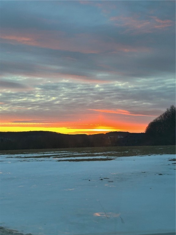 323 County Road 19 Preston, NY 13815 - Photo 10 of 16