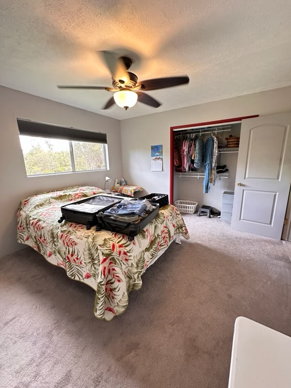 16-1562 Io Kea Rd Mountain View Mountain View, HI 96771 - Photo 12 of 30 a bedroom with a bed and window