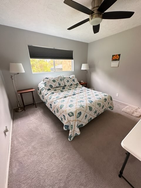 16-1562 Io Kea Rd Mountain View Mountain View, HI 96771 - Photo 20 of 30 a bed sitting in a bedroom next to a window