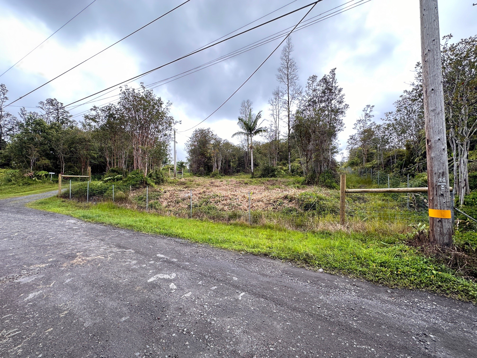16-1562 Io Kea Rd Mountain View Mountain View, HI 96771 - Photo 2 of 30 a view of a yard with basketball court