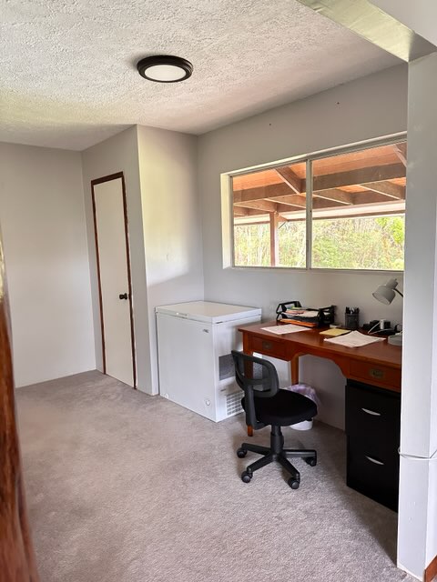 16-1562 Io Kea Rd Mountain View Mountain View, HI 96771 - Photo 9 of 30 a view of workspace with a window