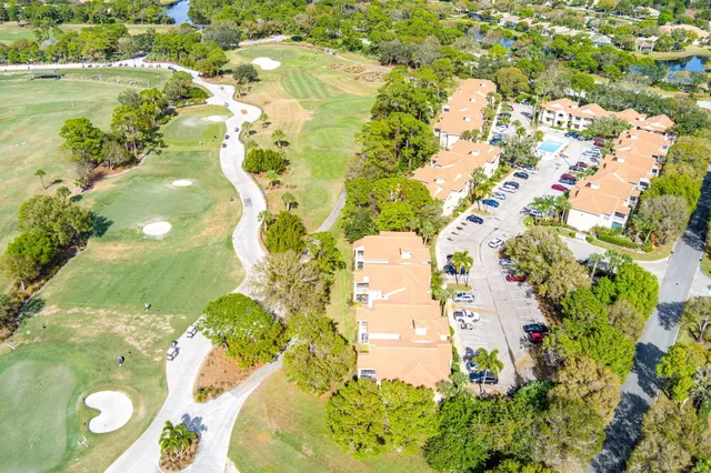 a view of a yard with plants and trees