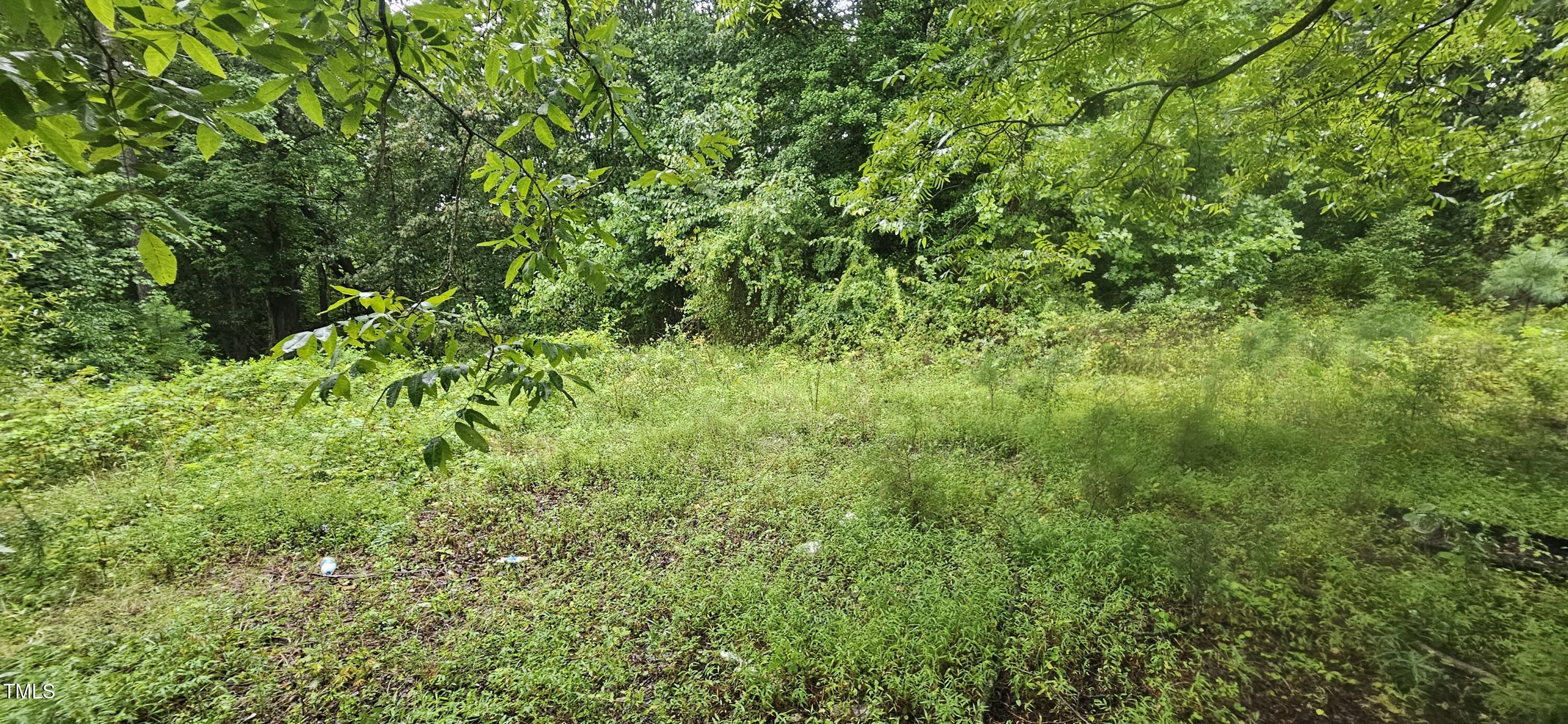4944 Davis Road Winston-Salem, NC 27105 - Photo 7 of 16 20240813_091743