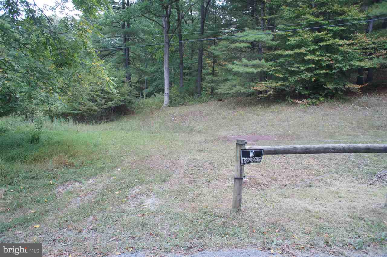 720 Upper Buck Ridge Road Blain, PA 17006 - Photo 5 of 6 Gallery Image 5