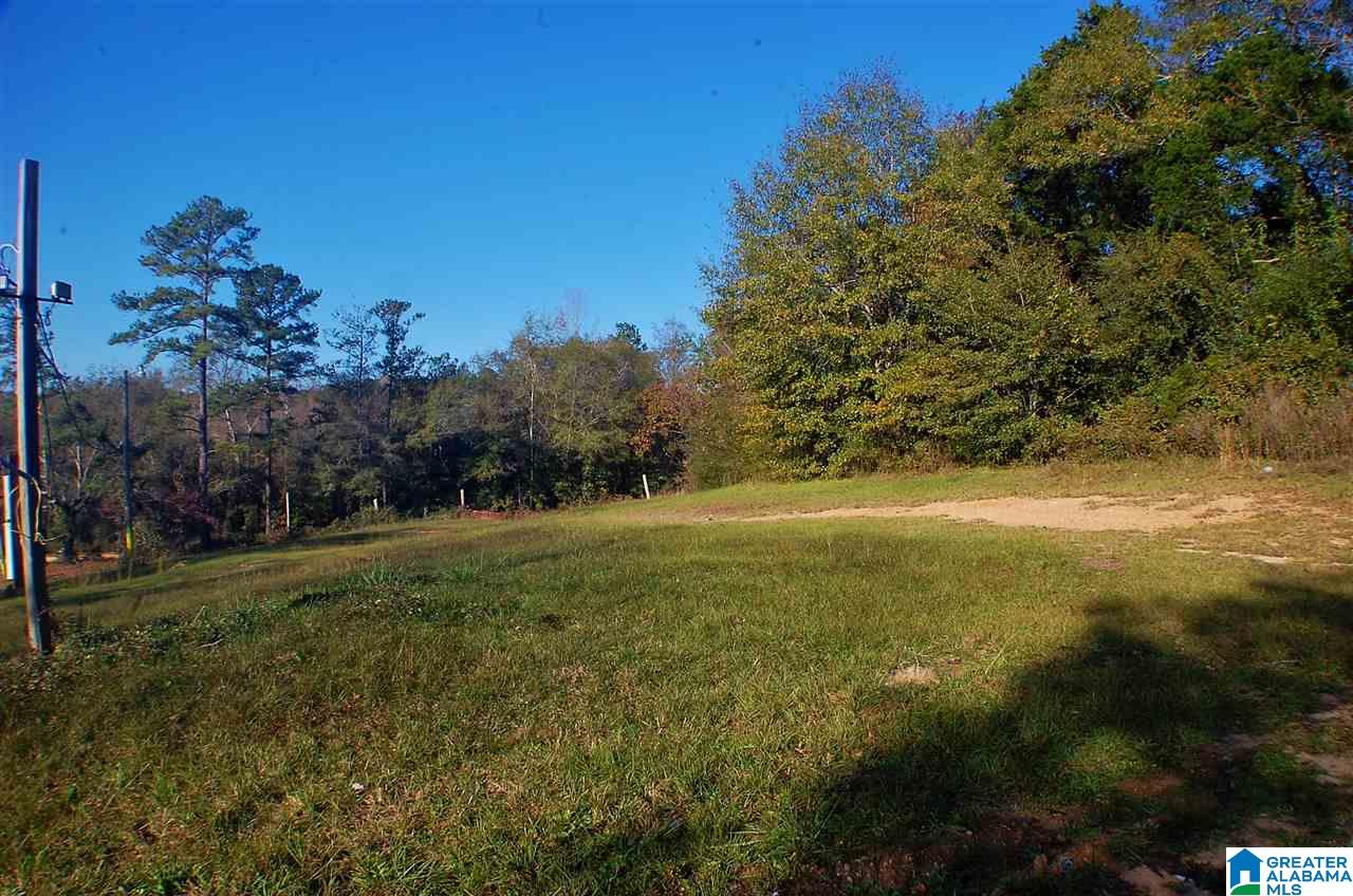 0 County Road 537, Unit 1 Verbena, AL 36091 - Photo 4 of 4
