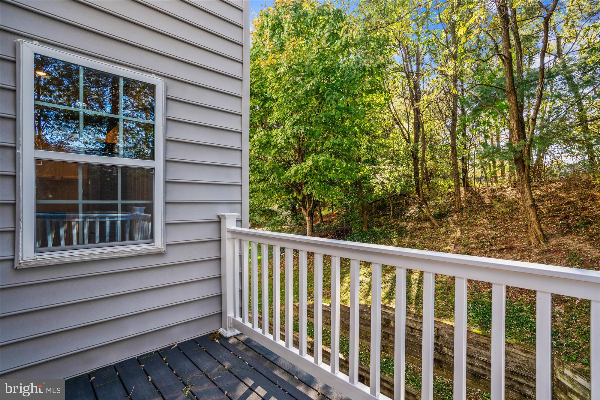 7224 Solar Walk Columbia, MD 21046 - Photo 28 of 65 Balcony