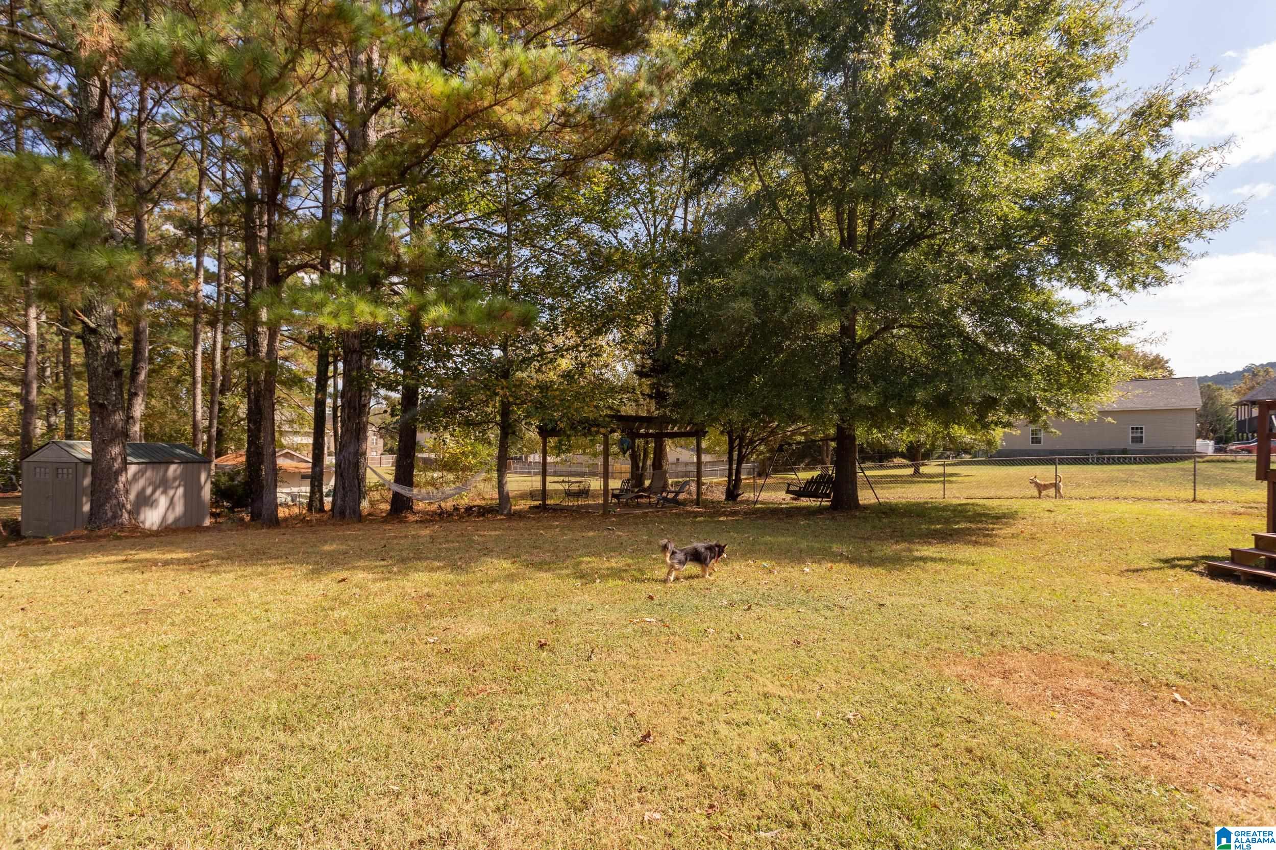 130 Peaceful Lane Springville, AL 35146 - Photo 37 of 39