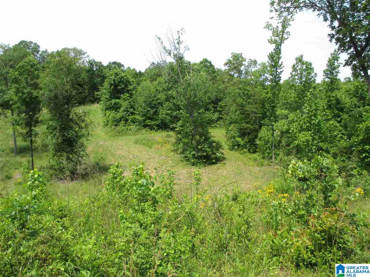 14741 Duck Springs Road Attalla, AL 35954 - Photo 28 of 41