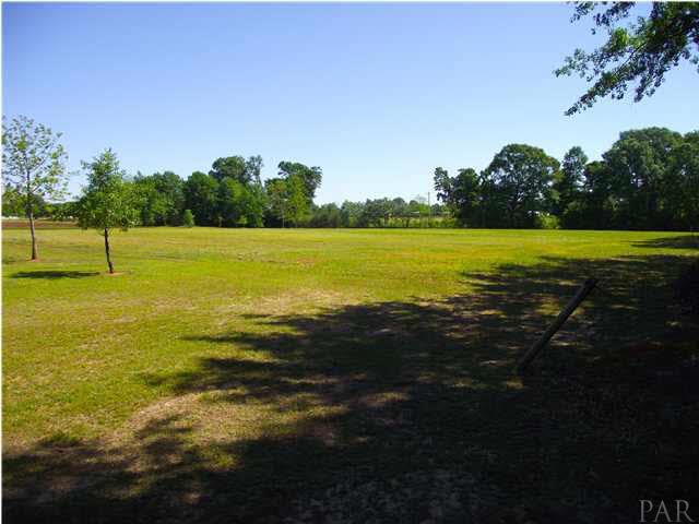 3013 Bud Diamond Road Jay, FL 32565 - Photo 3 of 21 a view of an ocean from a yard