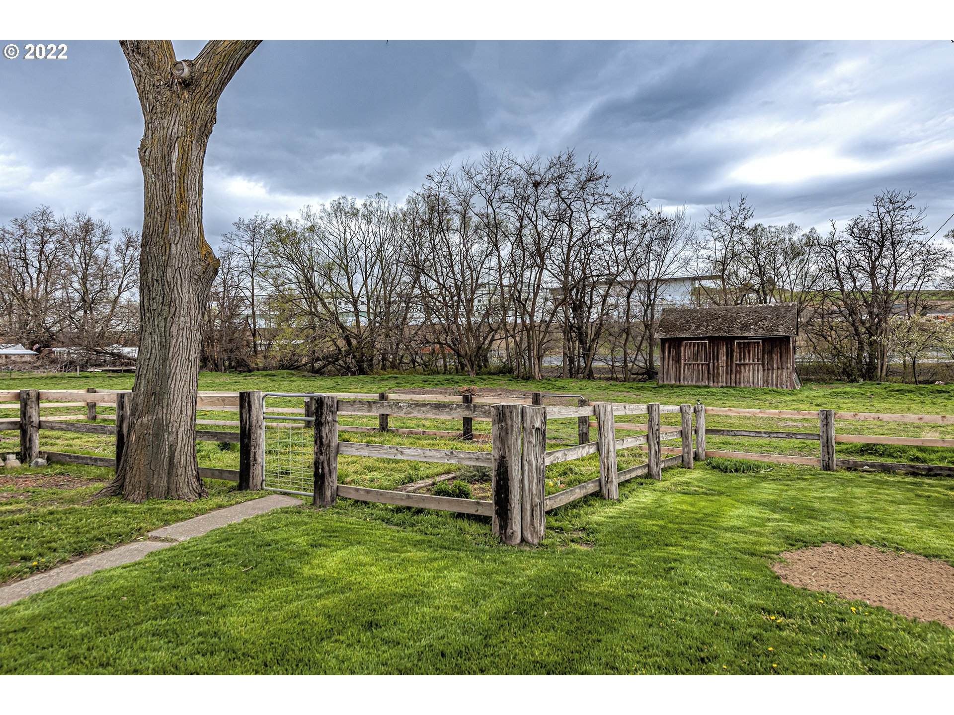 52882 Williamson Road Weston, OR 97886 - Photo 25 of 28 Gallery Image 25