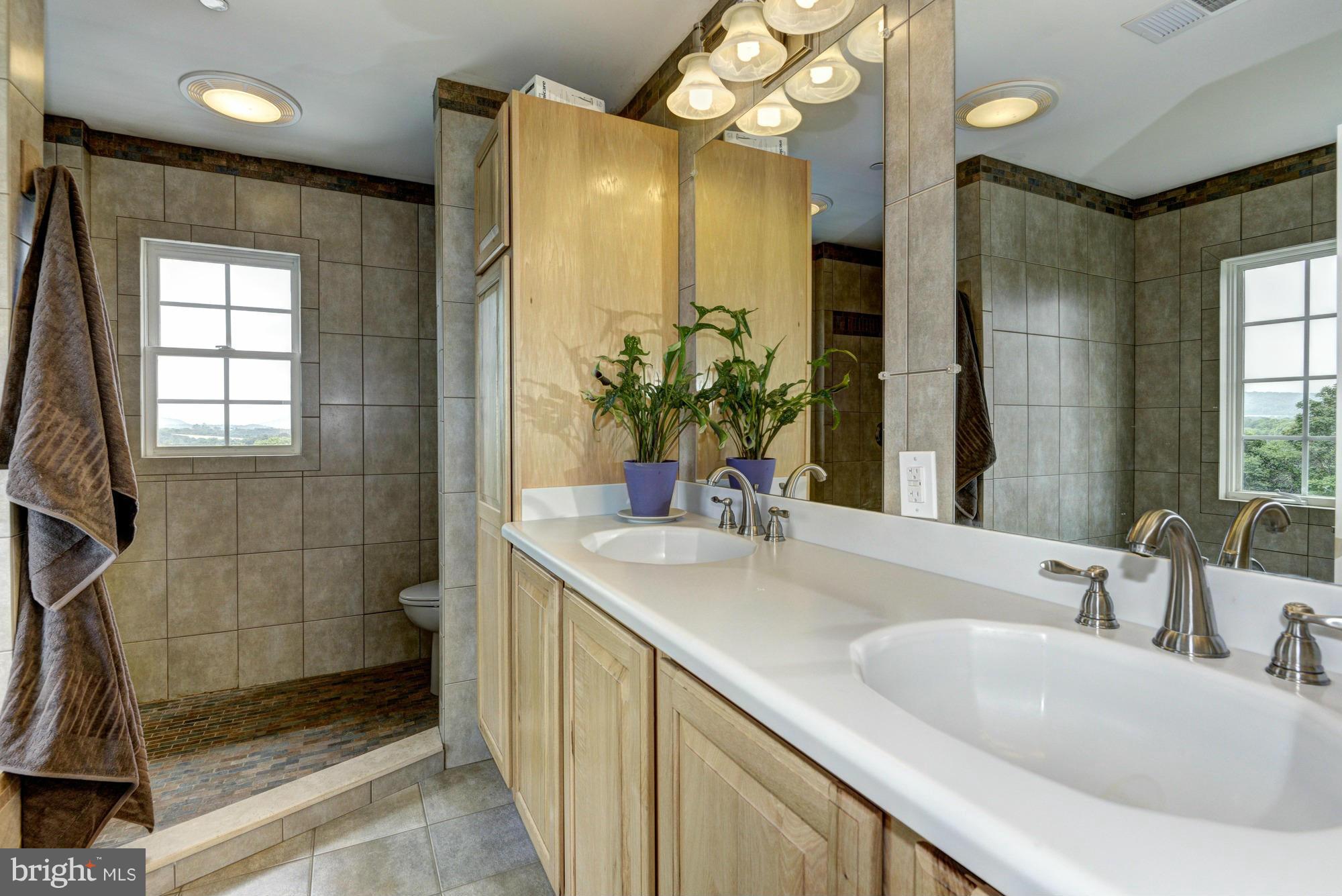 3830 Horine Road Jefferson, MD 21755 - Photo 11 of 30 Bath (Master)