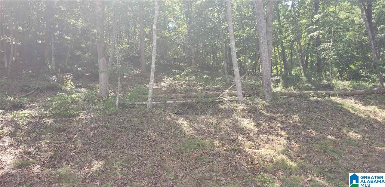 Lot 3 Preserve Road, Unit 3 Rockford, AL 35136 - Photo 3 of 7