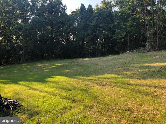 685 Rest Church Road Clear Brook, VA 22624 - Photo 16 of 53 Gallery Image 16