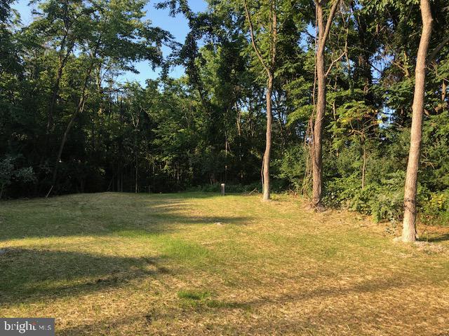 685 Rest Church Road Clear Brook, VA 22624 - Photo 8 of 53 Gallery Image 8