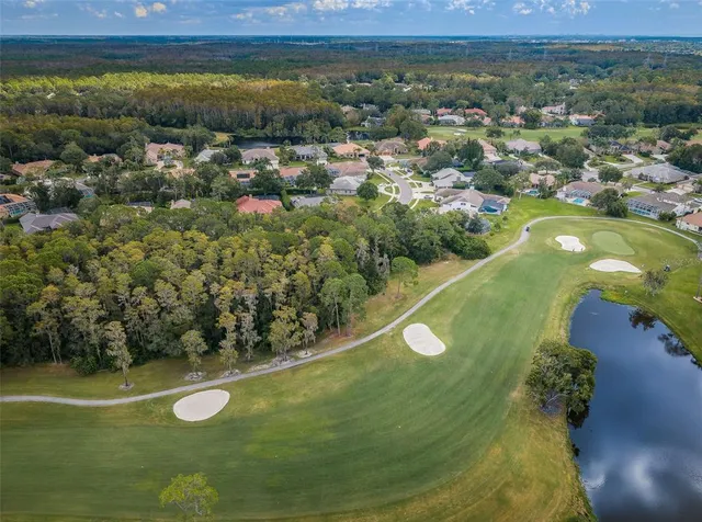 $1,150,000 | 85 Kelleys Trail, Oldsmar, FL 34677