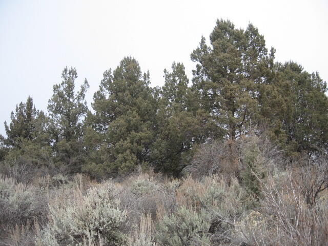 Drews Road Chiloquin, OR 97624 - Photo 9 of 20 9