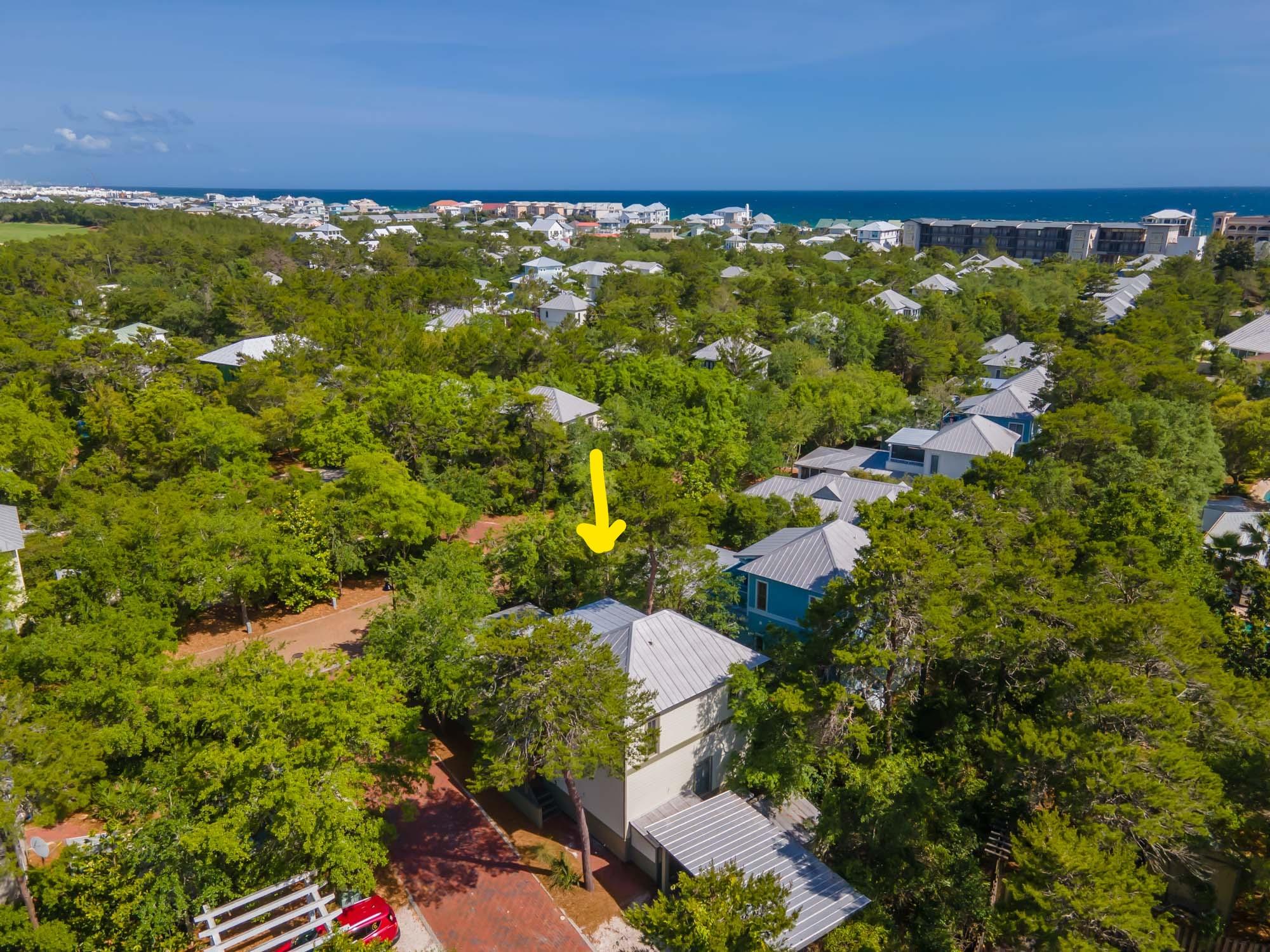 197 Wisteria Way Inlet Beach, FL 32461 - Photo 48 of 48 Inked197 Wisteria Drone Photos -8_LI