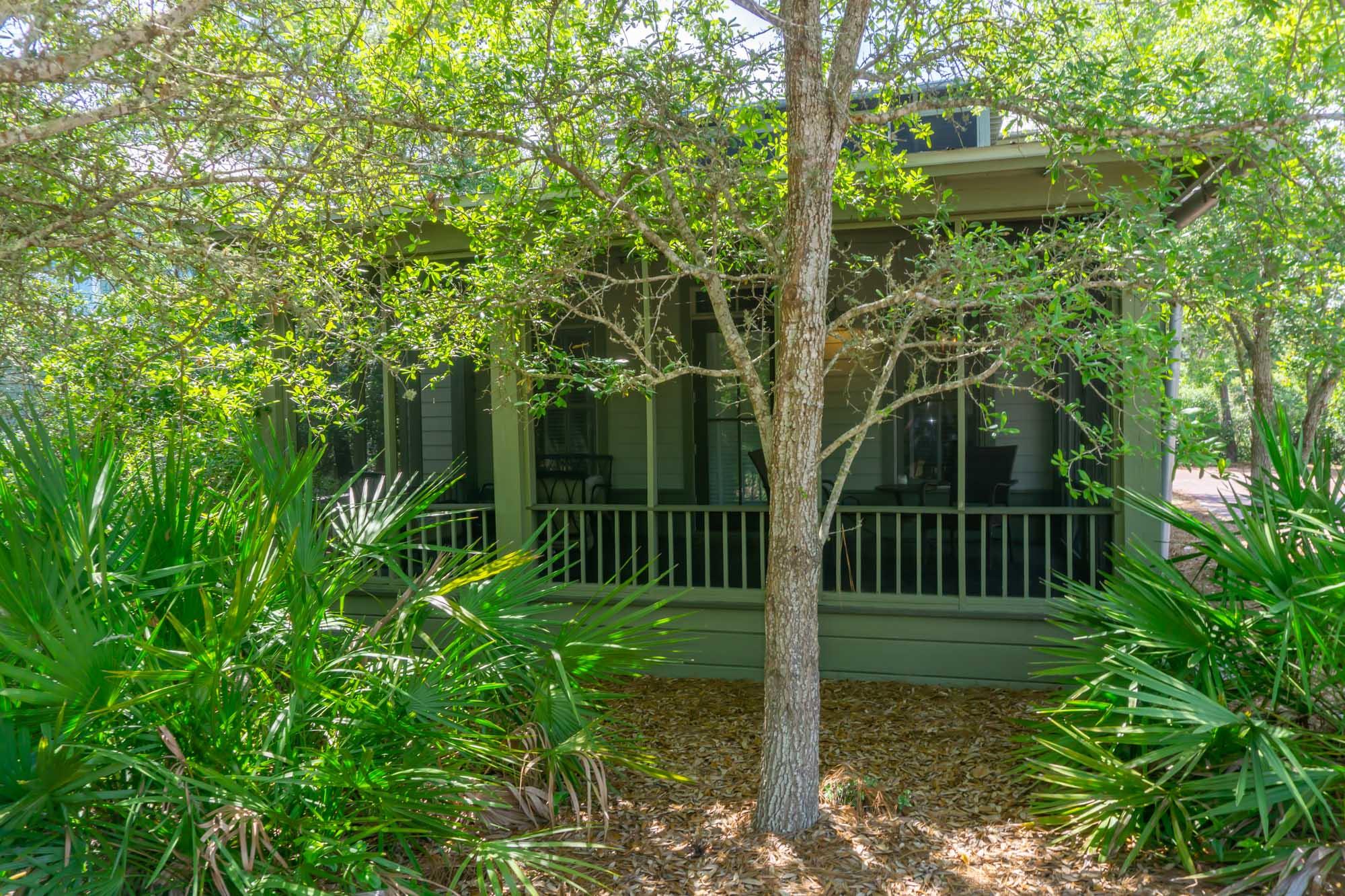 197 Wisteria Way Inlet Beach, FL 32461 - Photo 6 of 48 197 Wisteria Ground Master Photos -6