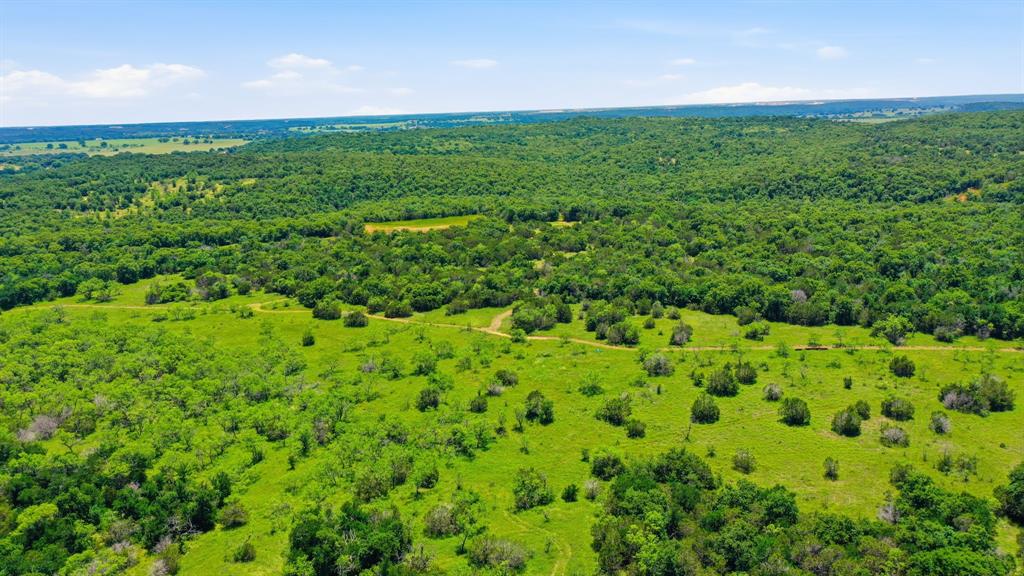 4320 Dobbs Valley Road Millsap, TX 76066 - Photo 29 of 40 a view of a big yard with plants and large trees