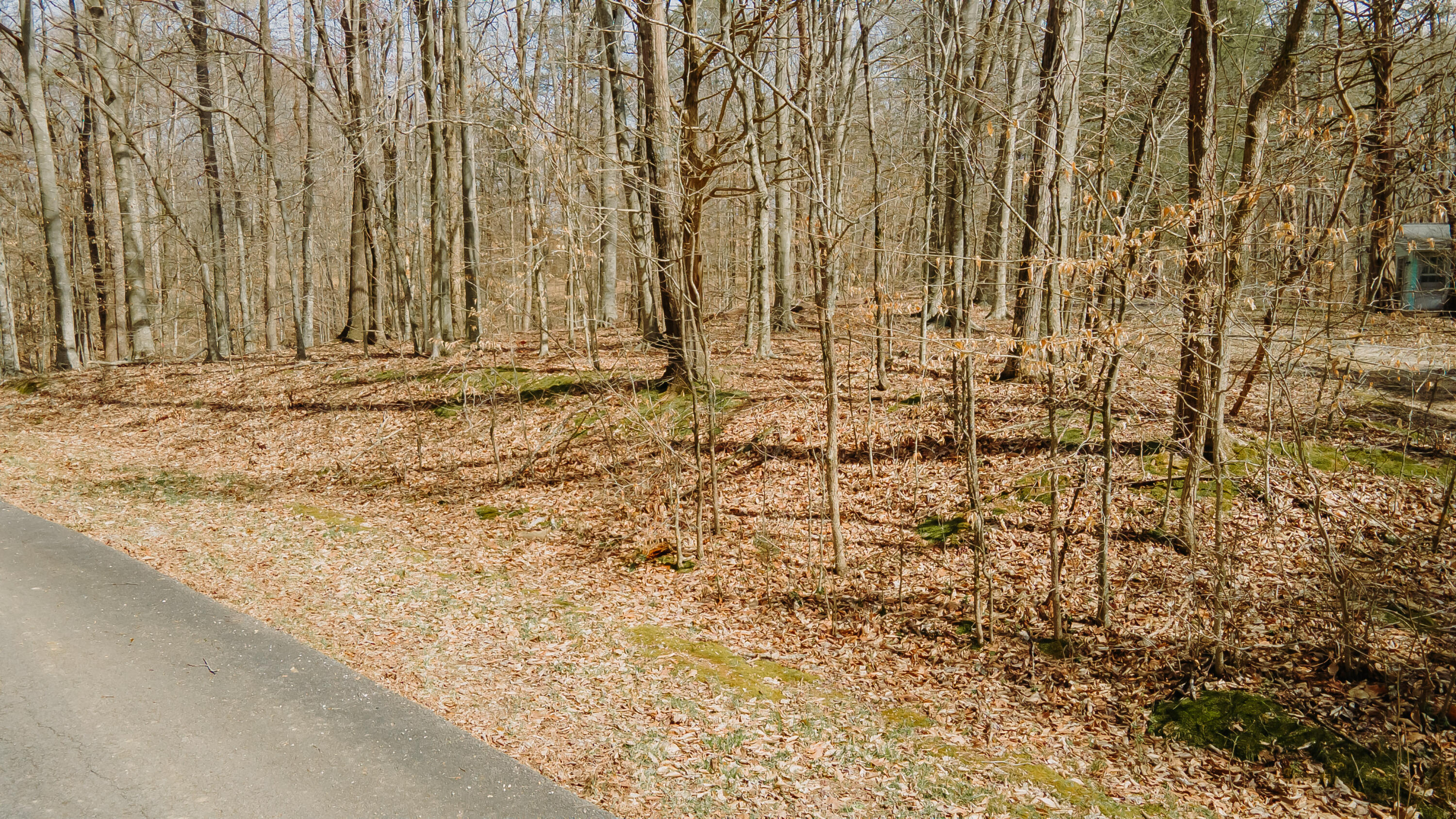 28 Cave Springs Road Nancy, KY 42544 - Photo 8 of 18 Wolf Creek-49