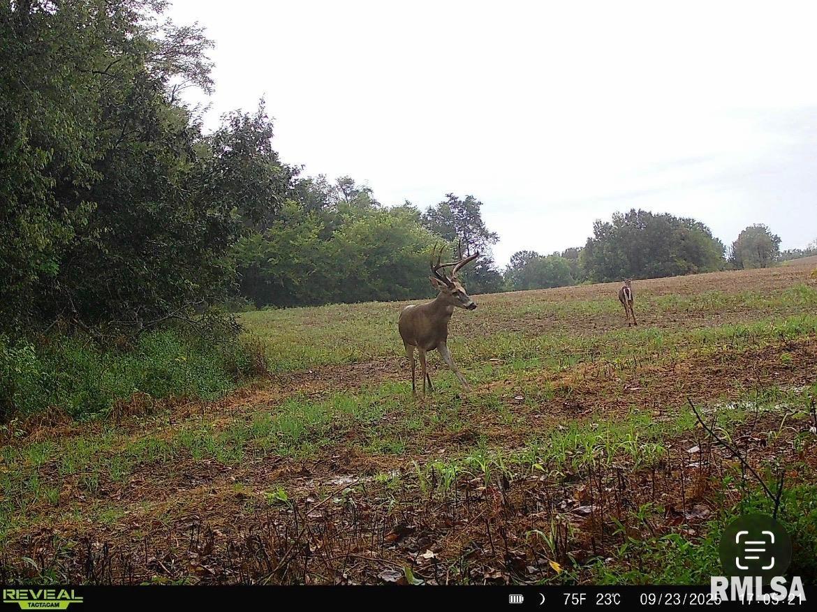1401 Hickory Grove Road Lacon, IL 61540 - Photo 9 of 12