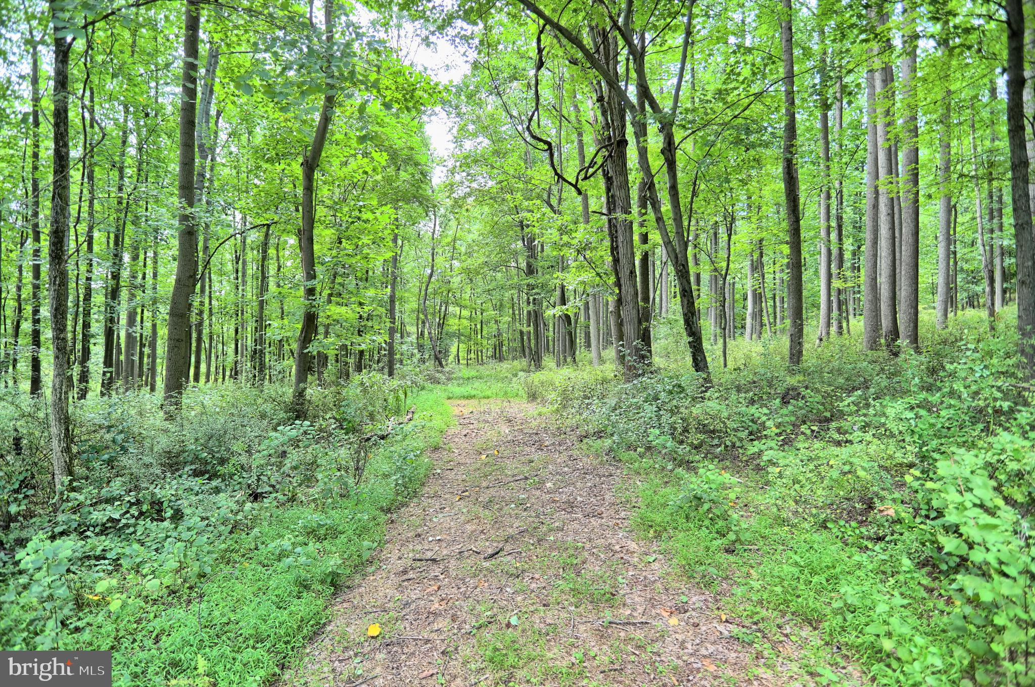 0 Kennedy Valley Road Landisburg, PA 17040 - Photo 1 of 39 Gallery Image 1