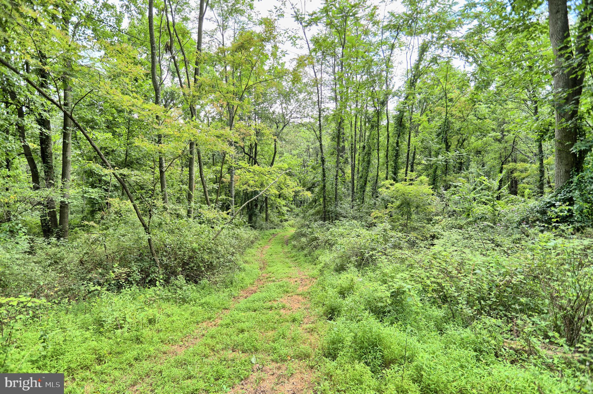 0 Kennedy Valley Road Landisburg, PA 17040 - Photo 2 of 39 Gallery Image 2