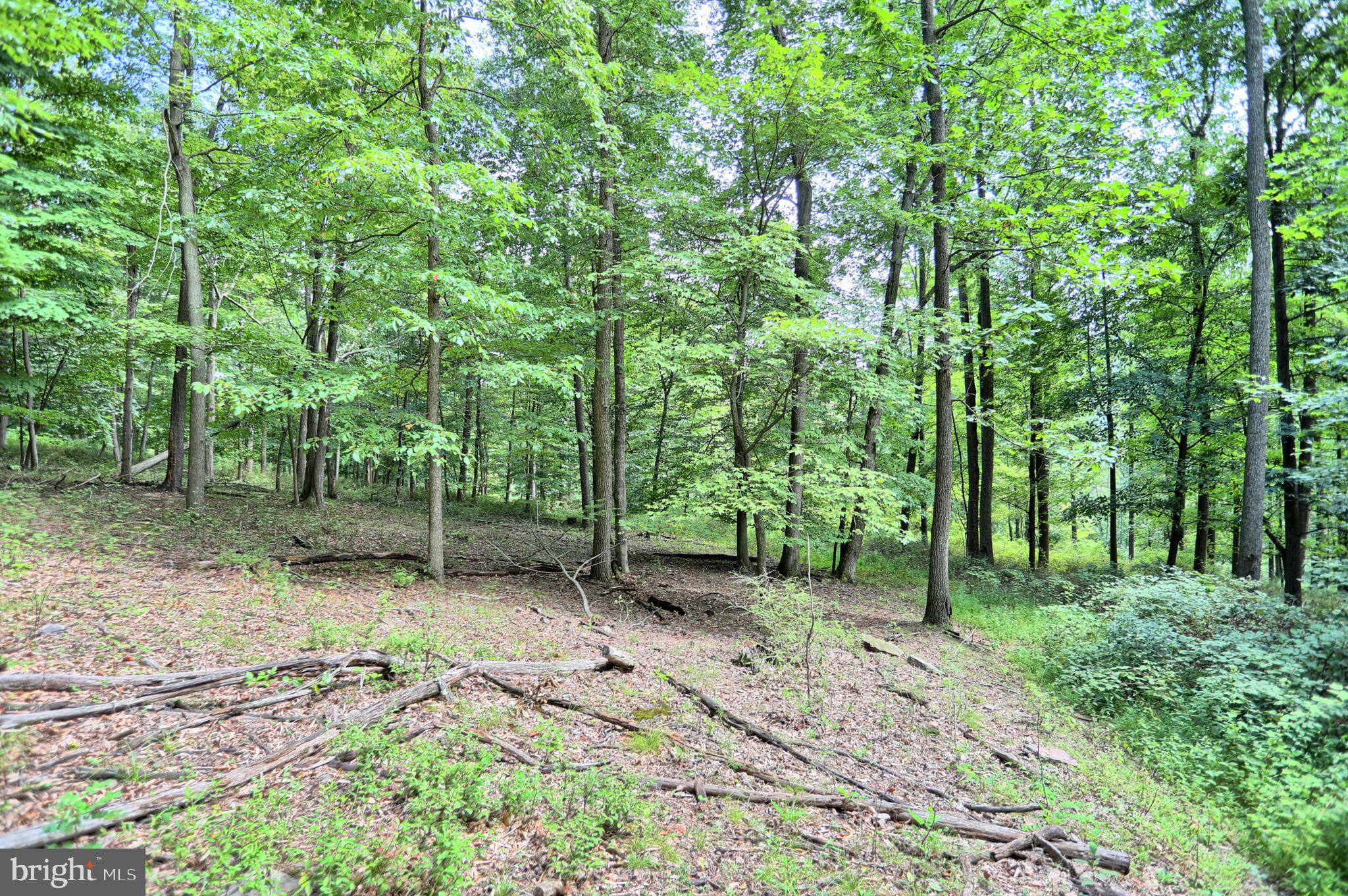 0 Kennedy Valley Road Landisburg, PA 17040 - Photo 11 of 39 Gallery Image 11