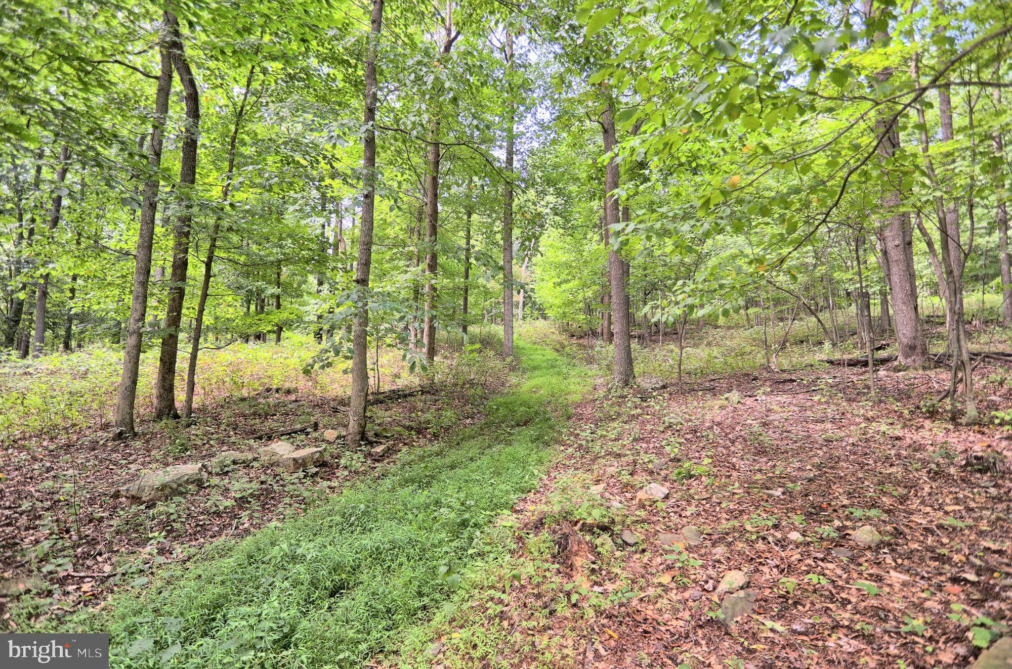 0 Kennedy Valley Road Landisburg, PA 17040 - Photo 12 of 39 Gallery Image 12