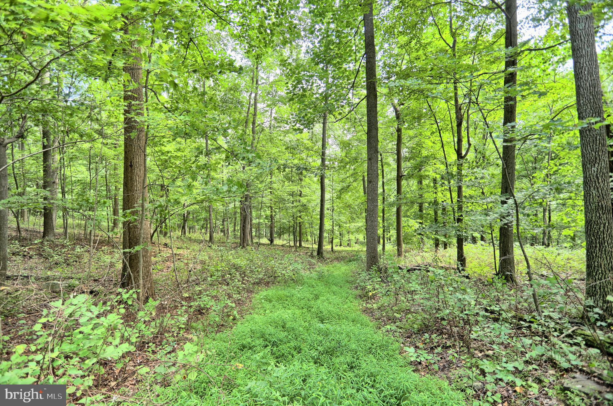 0 Kennedy Valley Road Landisburg, PA 17040 - Photo 13 of 39 Gallery Image 13
