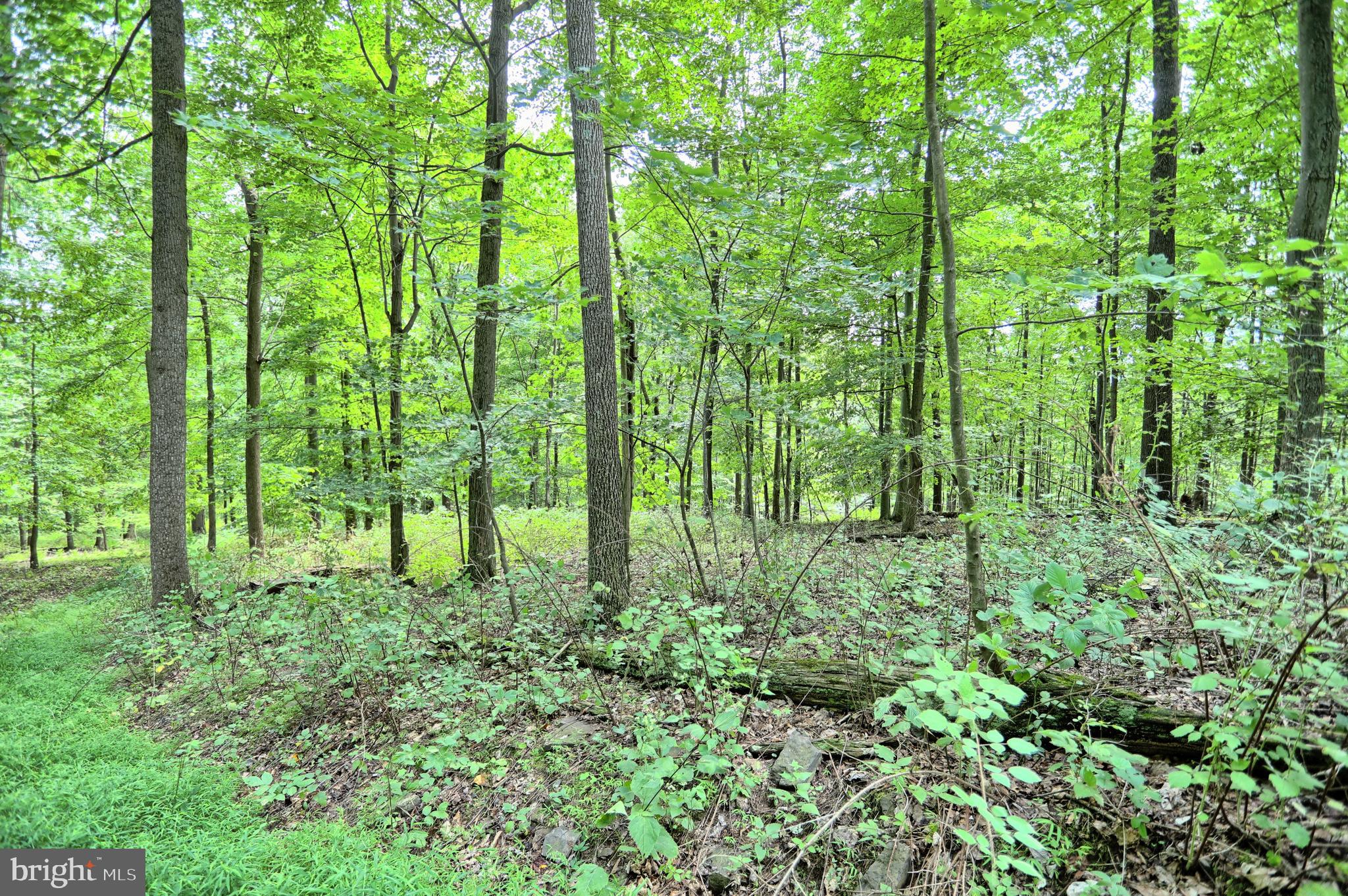 0 Kennedy Valley Road Landisburg, PA 17040 - Photo 14 of 39 Gallery Image 14