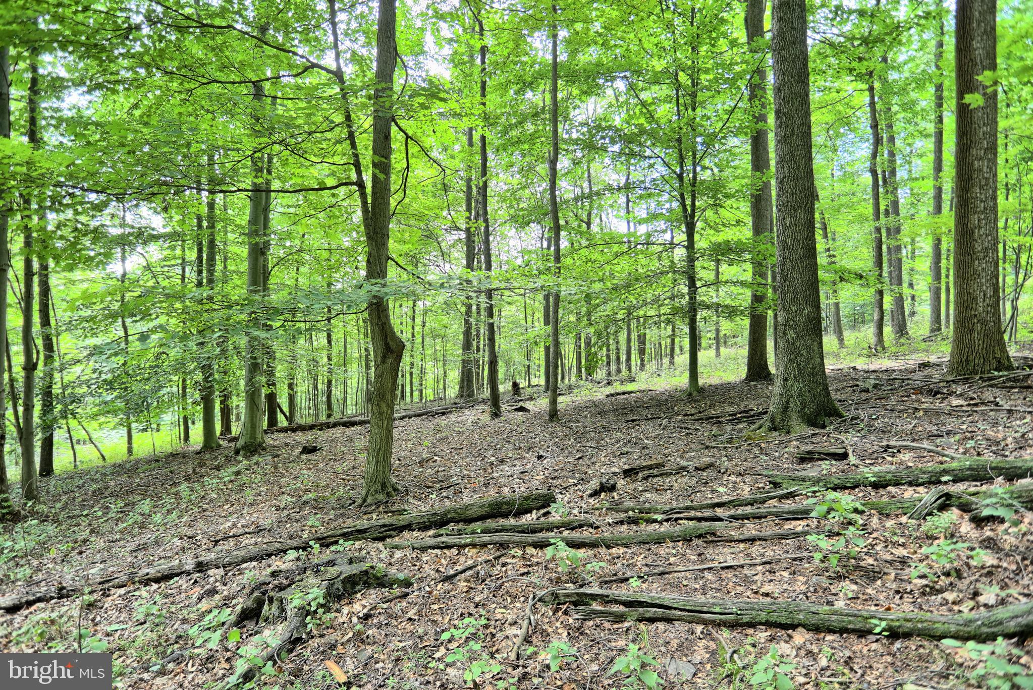 0 Kennedy Valley Road Landisburg, PA 17040 - Photo 15 of 39 Gallery Image 15