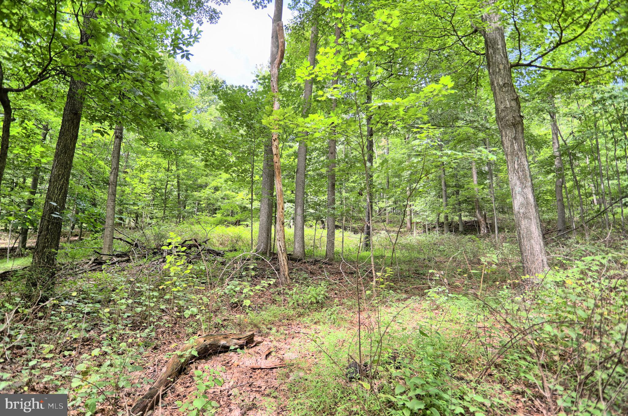 0 Kennedy Valley Road Landisburg, PA 17040 - Photo 17 of 39 Gallery Image 17